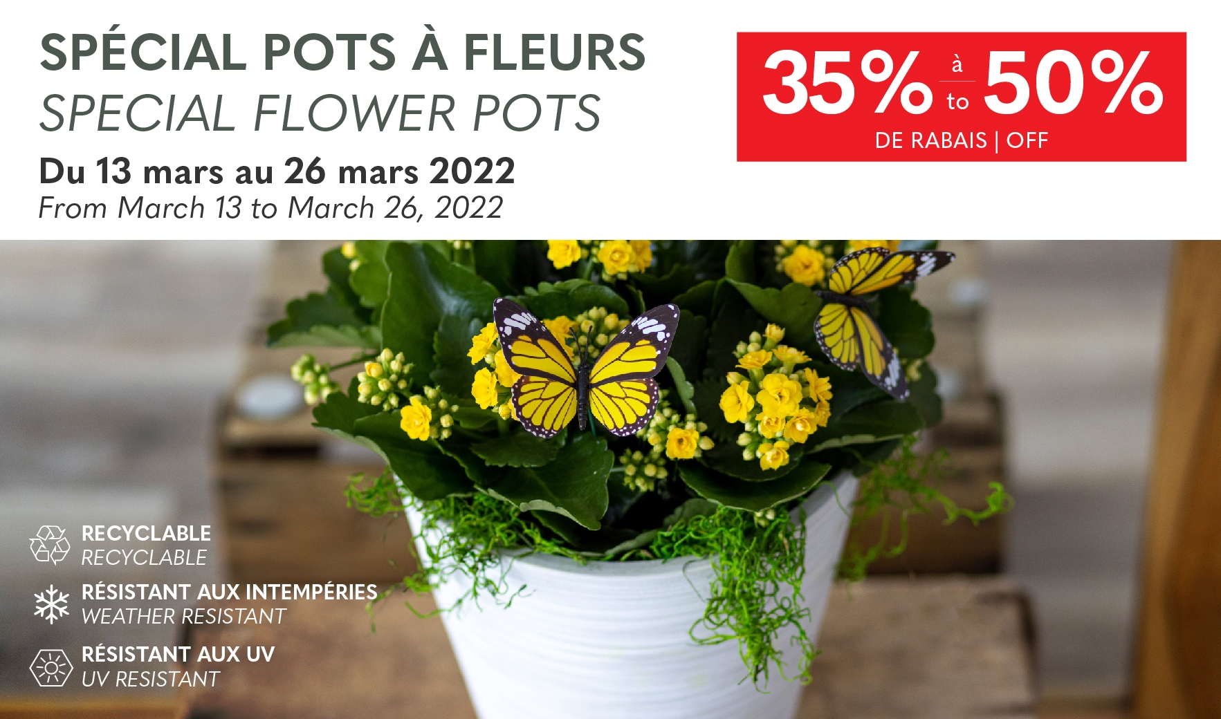 From March 13 to March 26, 2022 - Special Flower Pots