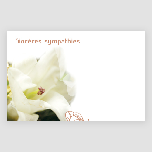 Carte de condoléances Sincères condoléances avec enveloppe  1pc-494010163