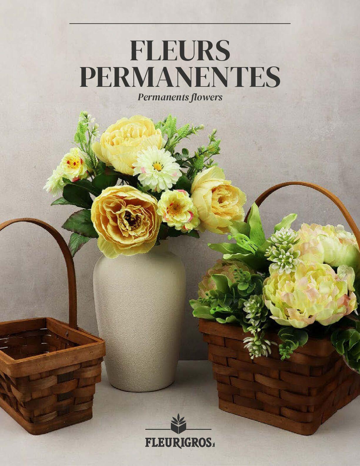 2025 - Fleurs permanentes