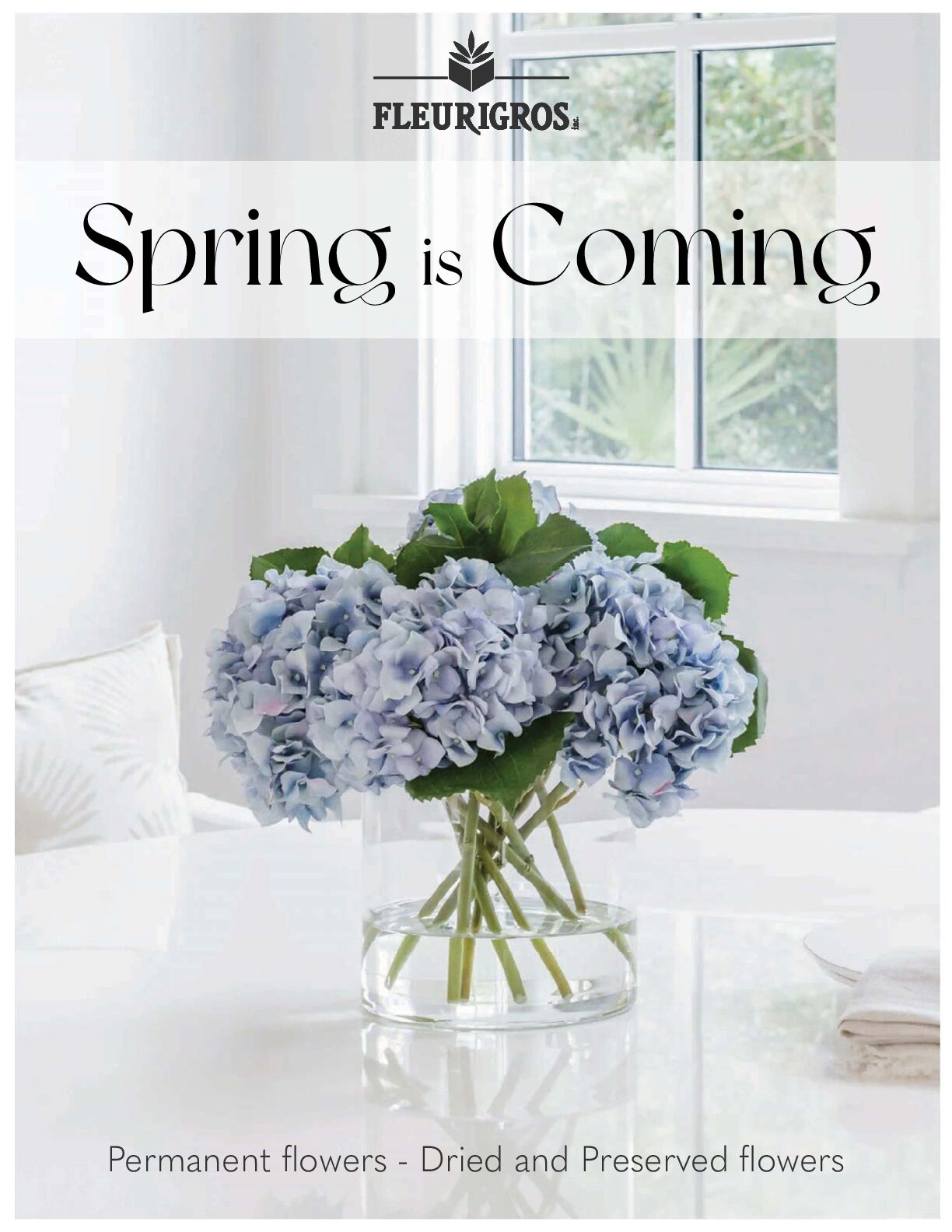 Catalog Spring to coming
