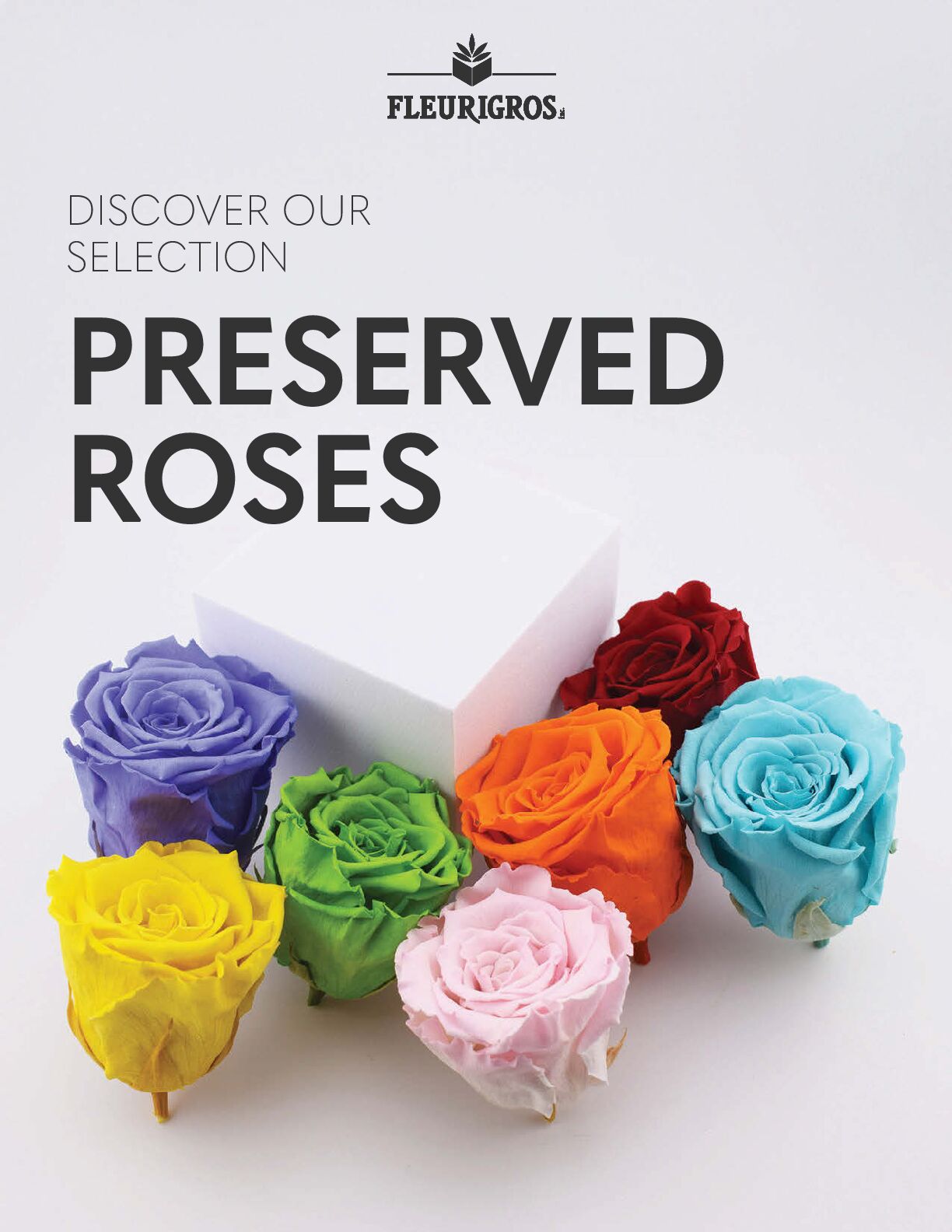 COLLECTION - PRESERVED ROSES